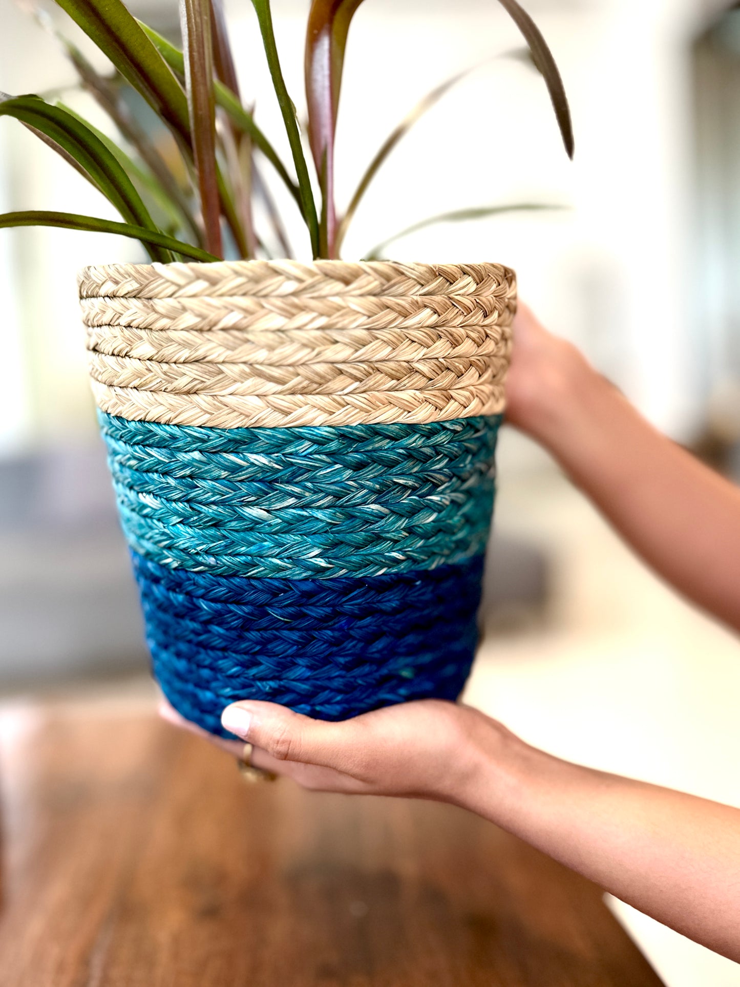 Sabai grass Planter