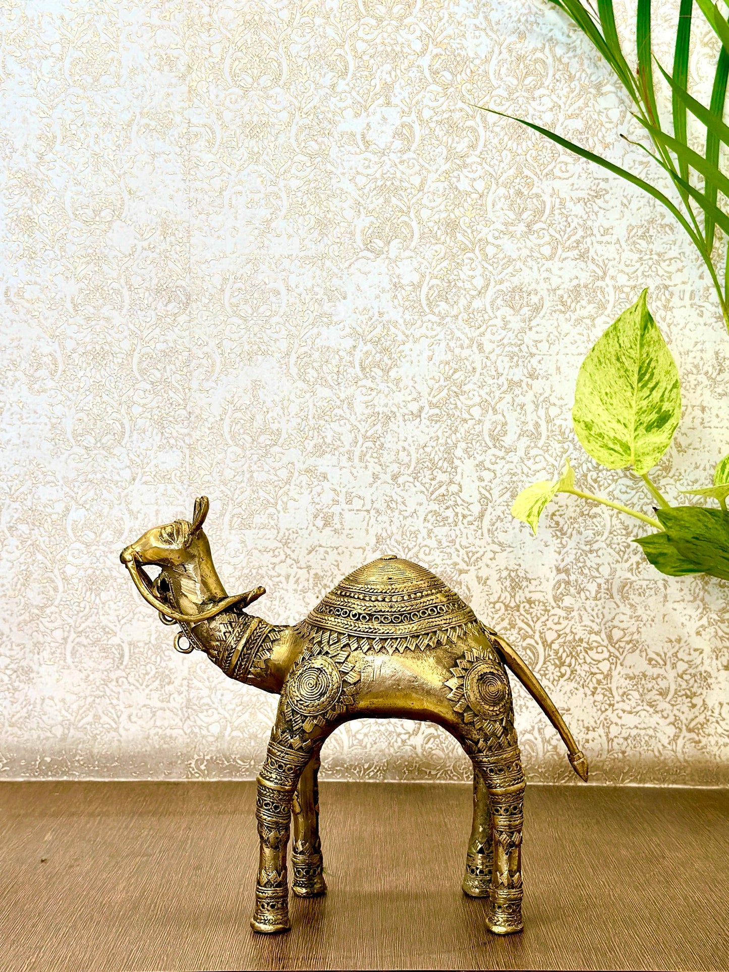 Standing Camel