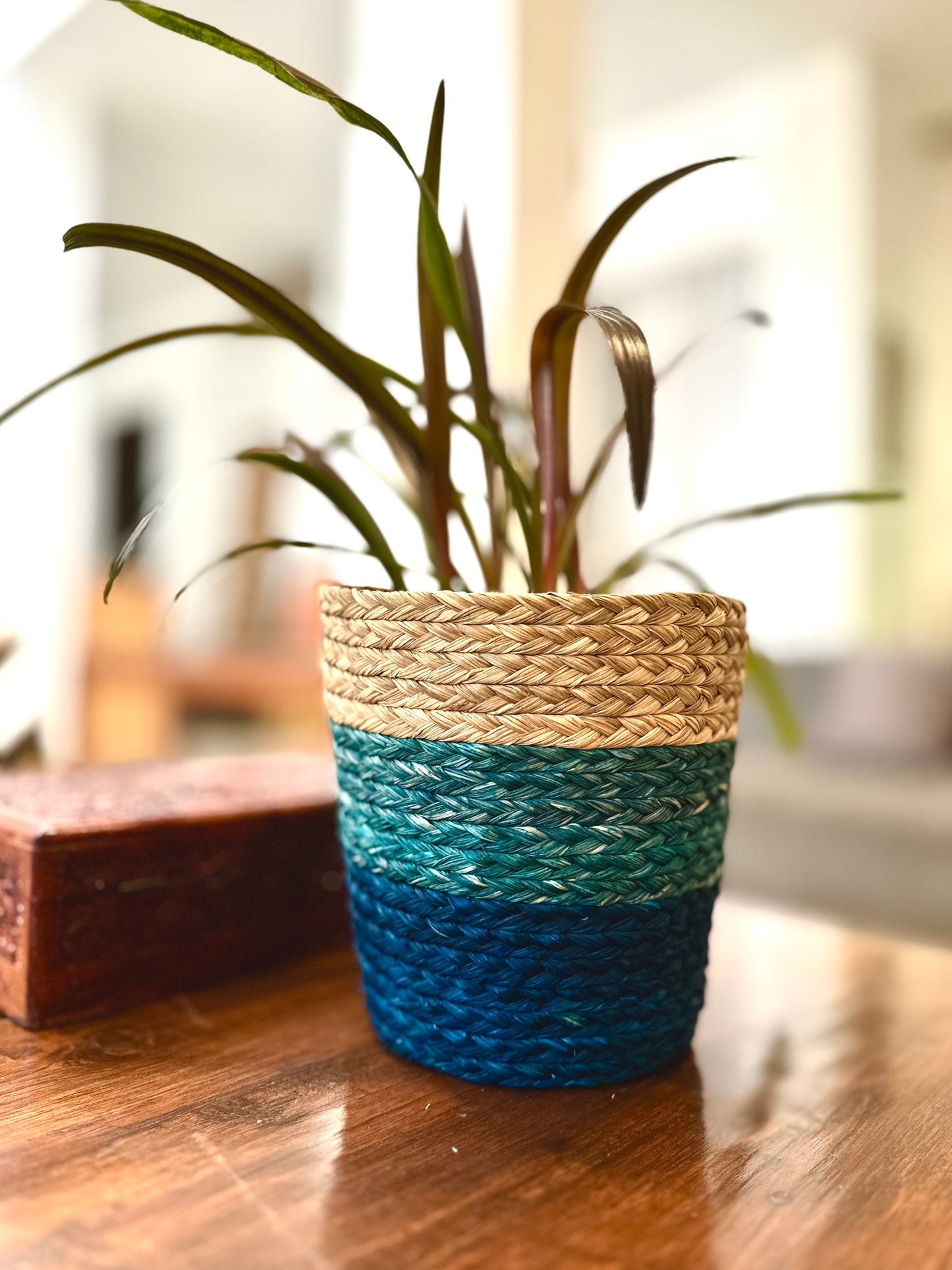 Sabai grass Planter