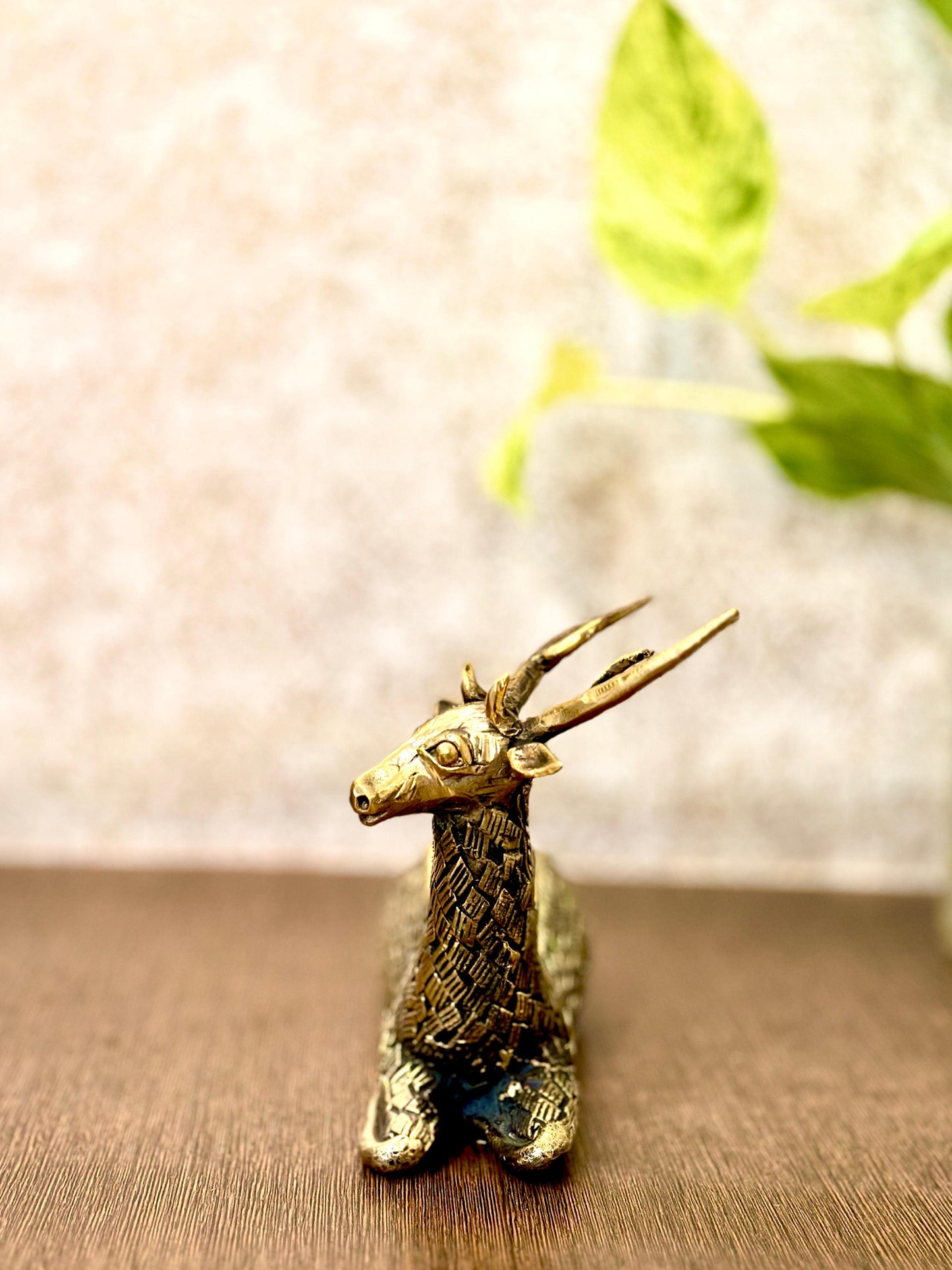 Resting deer