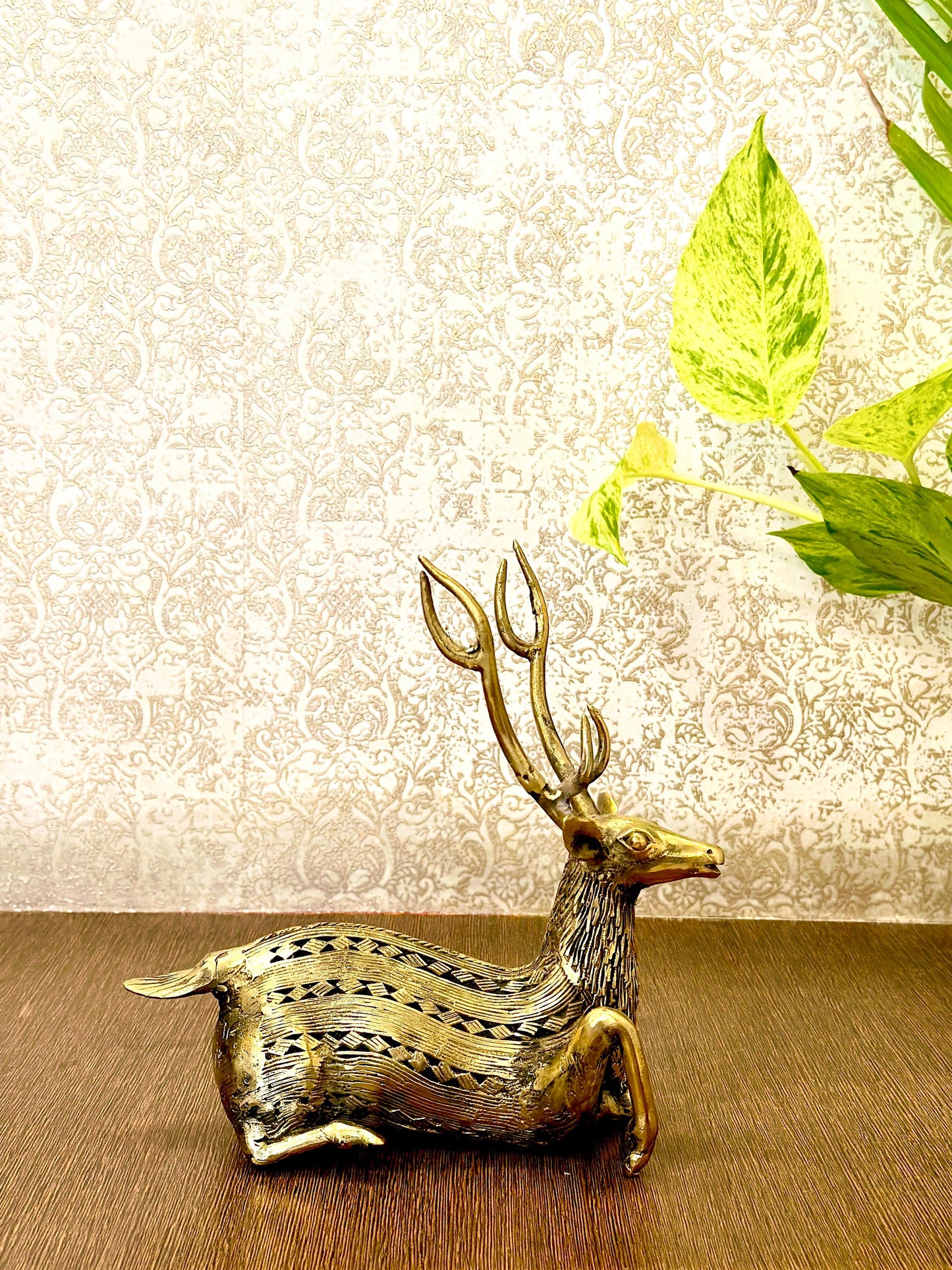 Sitting deer