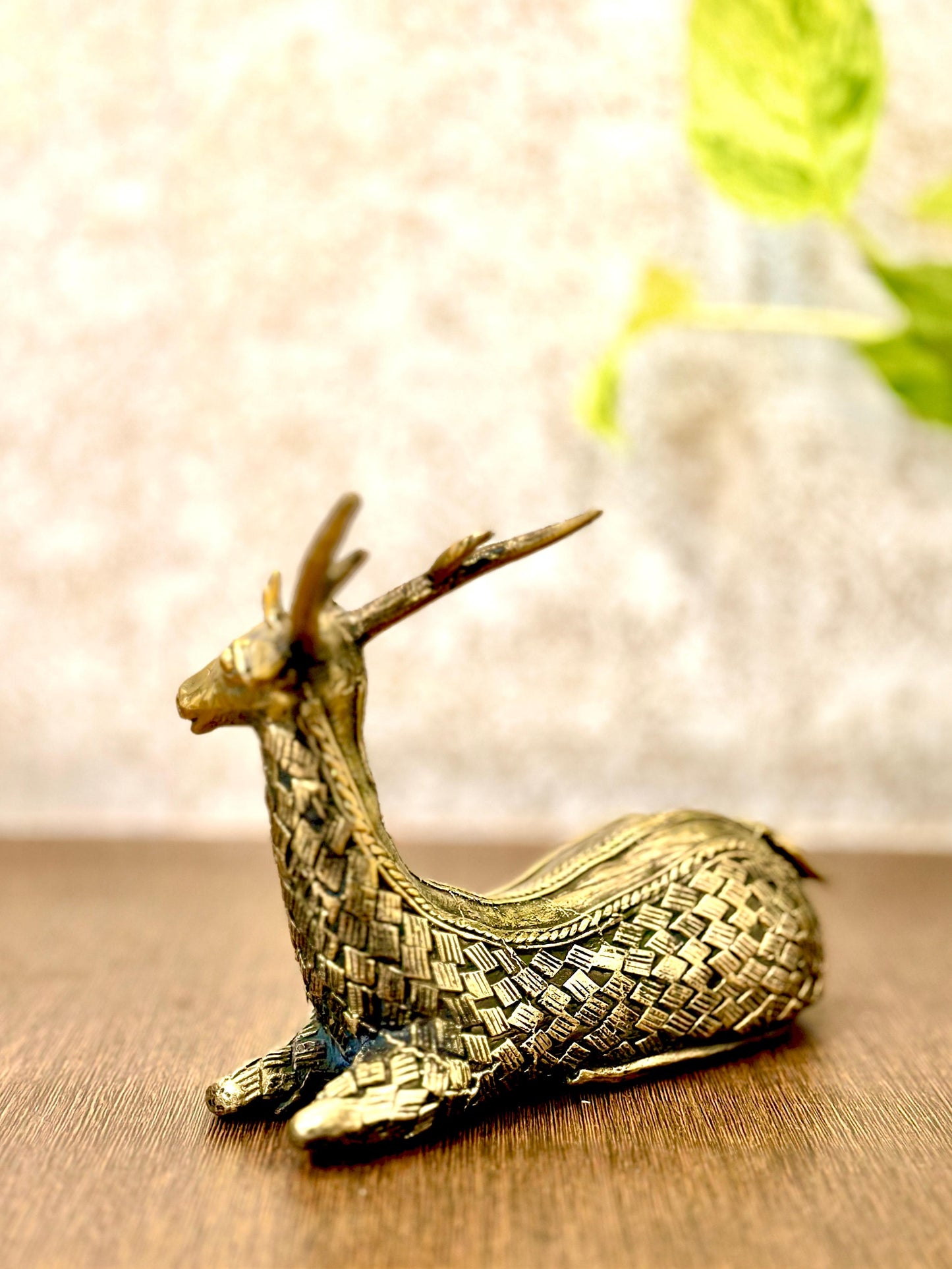 Resting deer