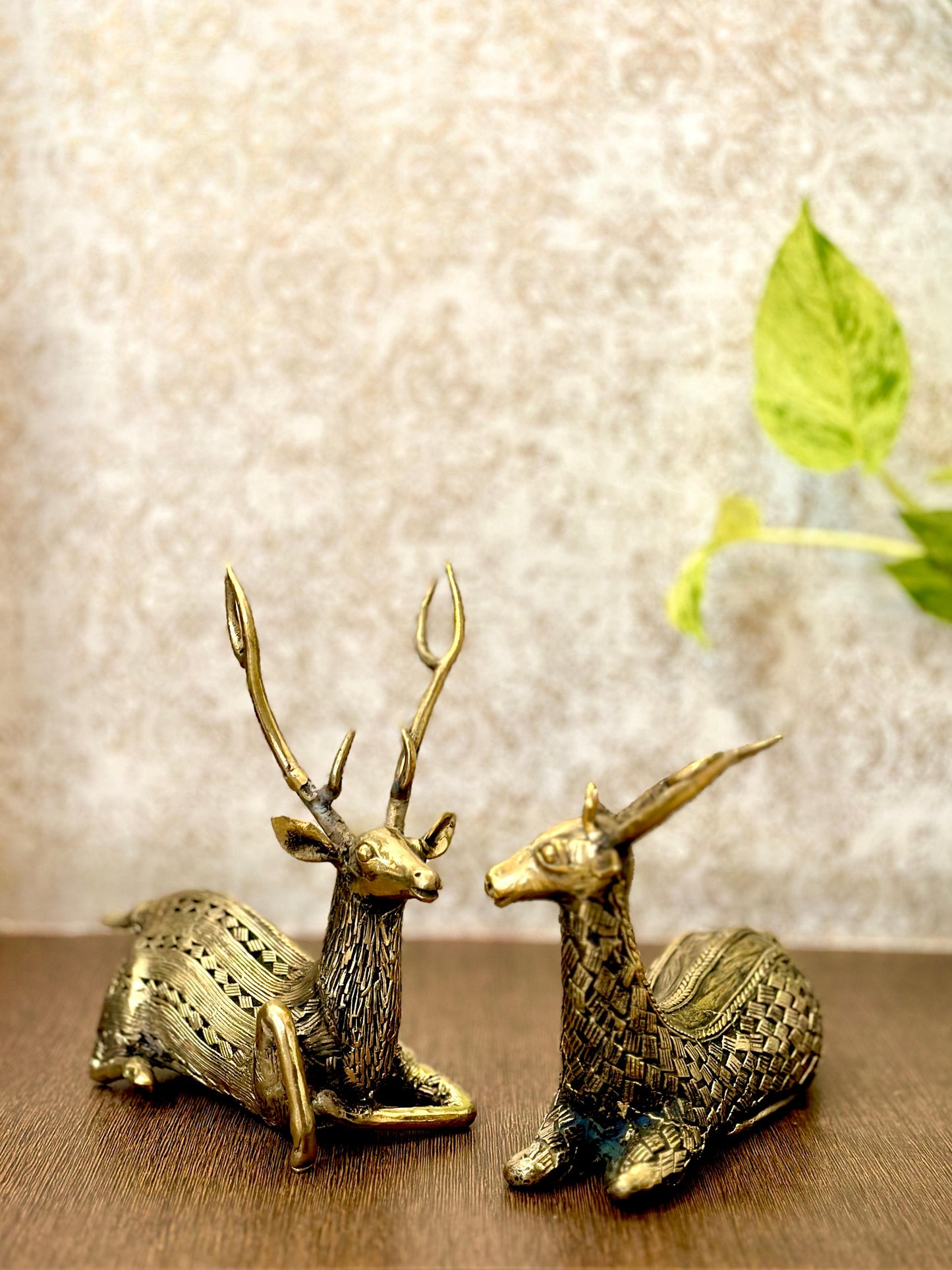 Elegant Deer pair