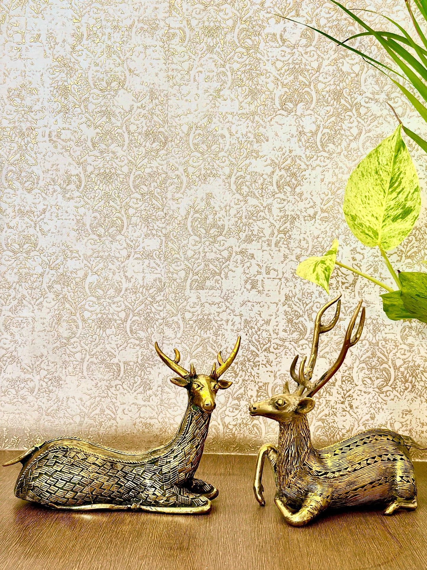 Elegant Deer pair