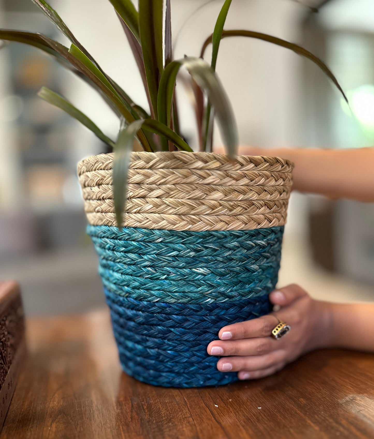 Sabai grass Planter